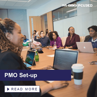 PMO Setup