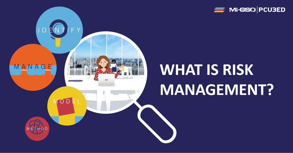 Risk Management Video
